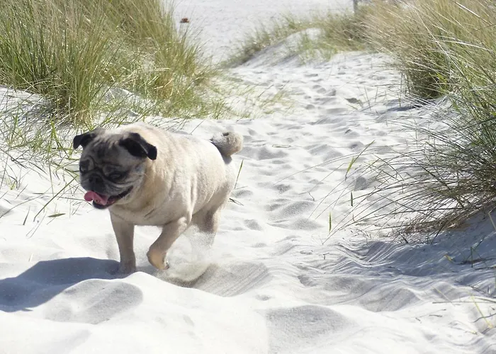 Kajuete 24 Lägenhet